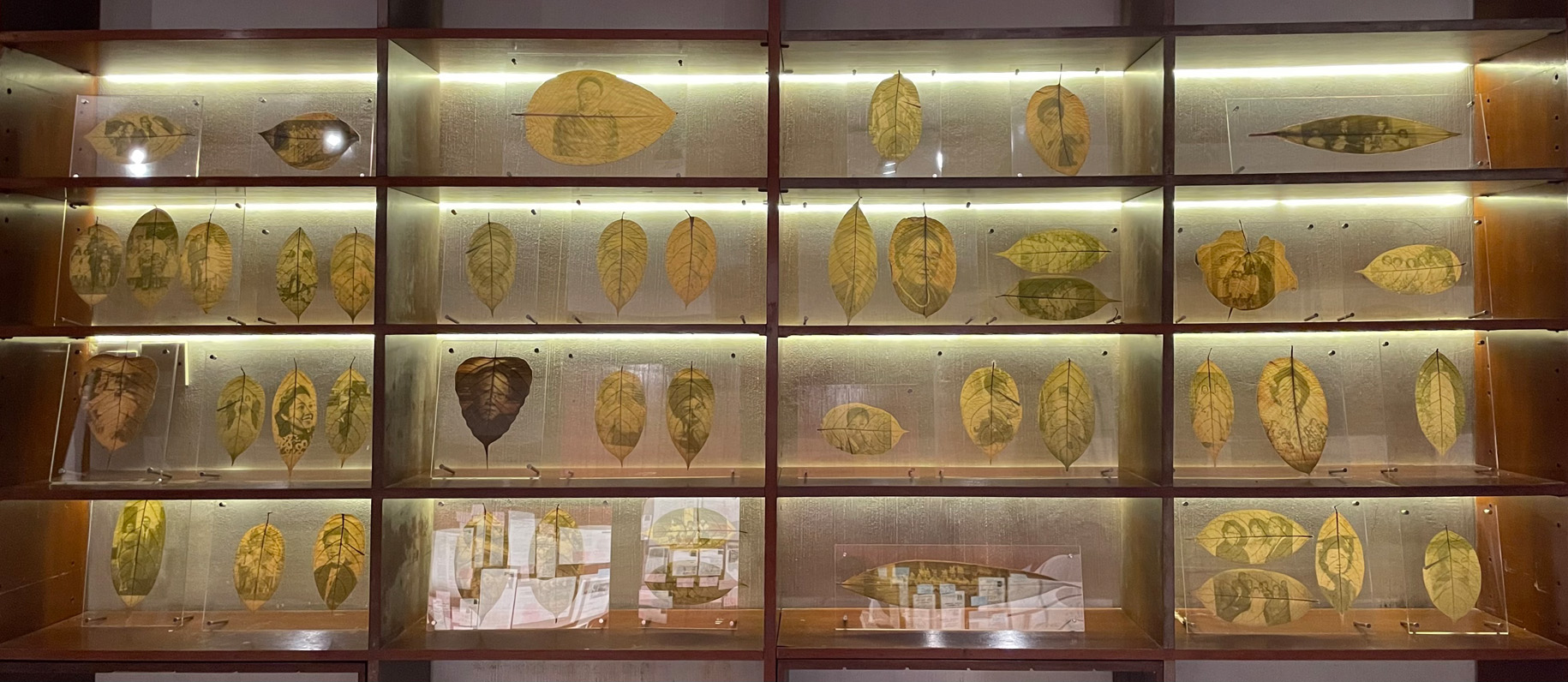 <p>Family Leaves part 1 in <em>Eat Play Love</em> (2024)</p>
