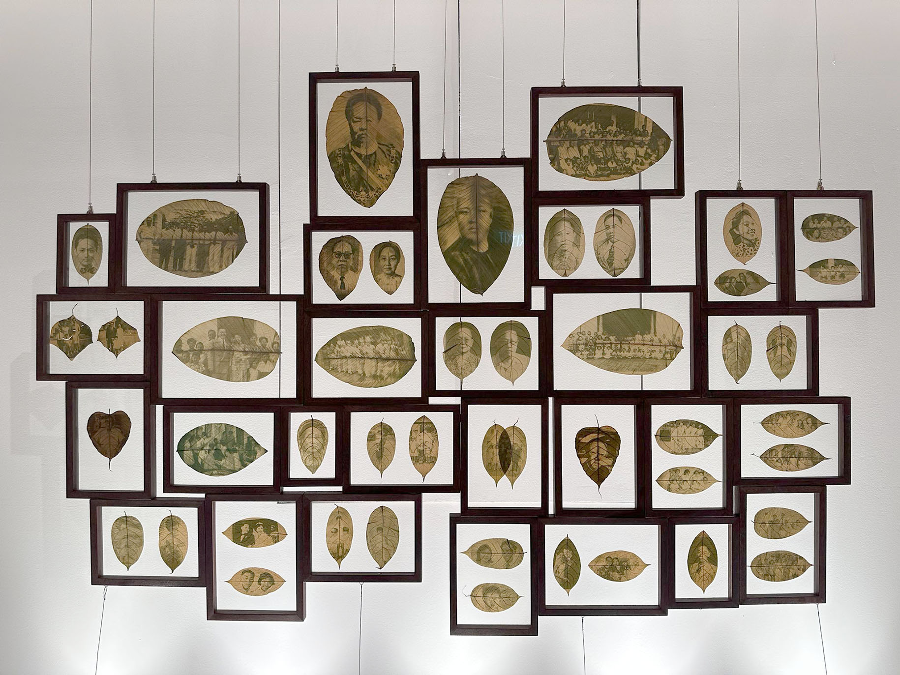 <p>Family Leaves part 1 in <em>Every Name Tells a Story</em> (2025)</p>
