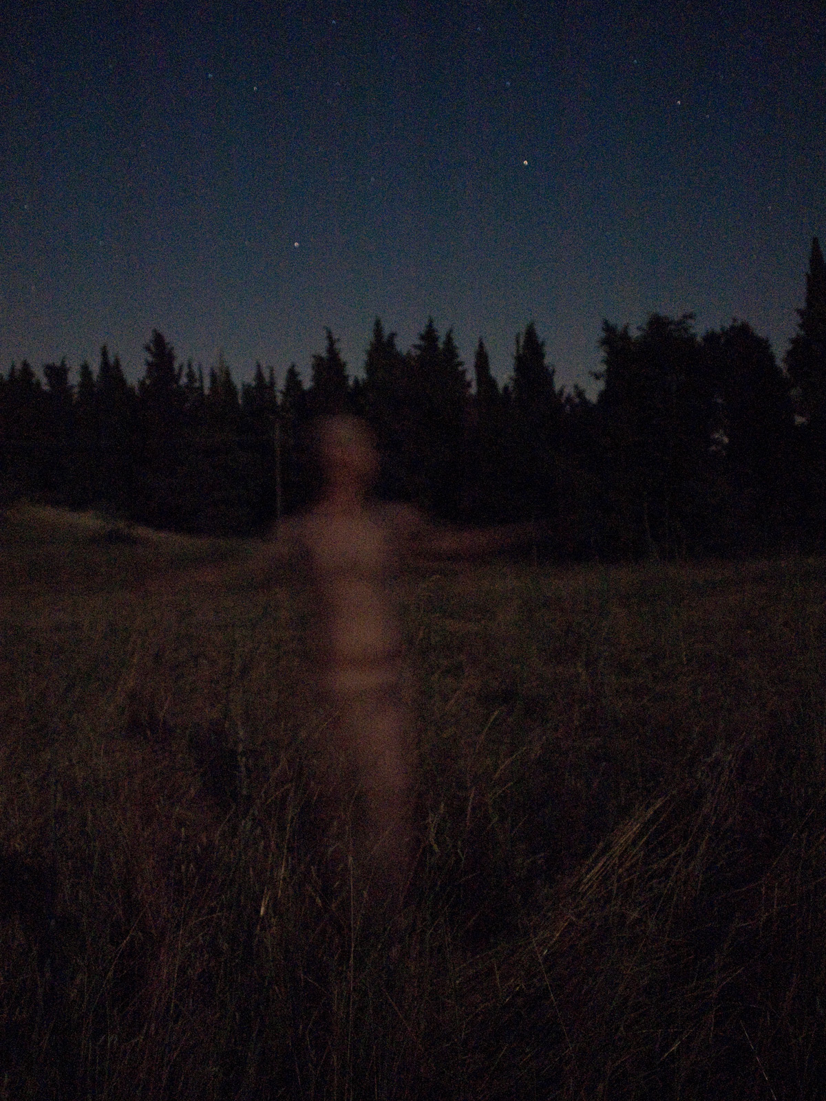 <p>Moonlight Allegro III (2010)</p>
