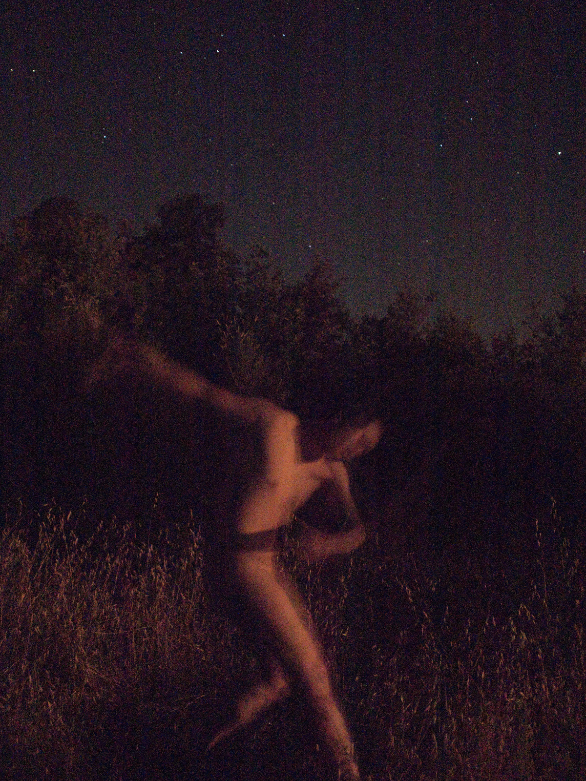 <p>Moonlight Allegro I (2010)</p>
