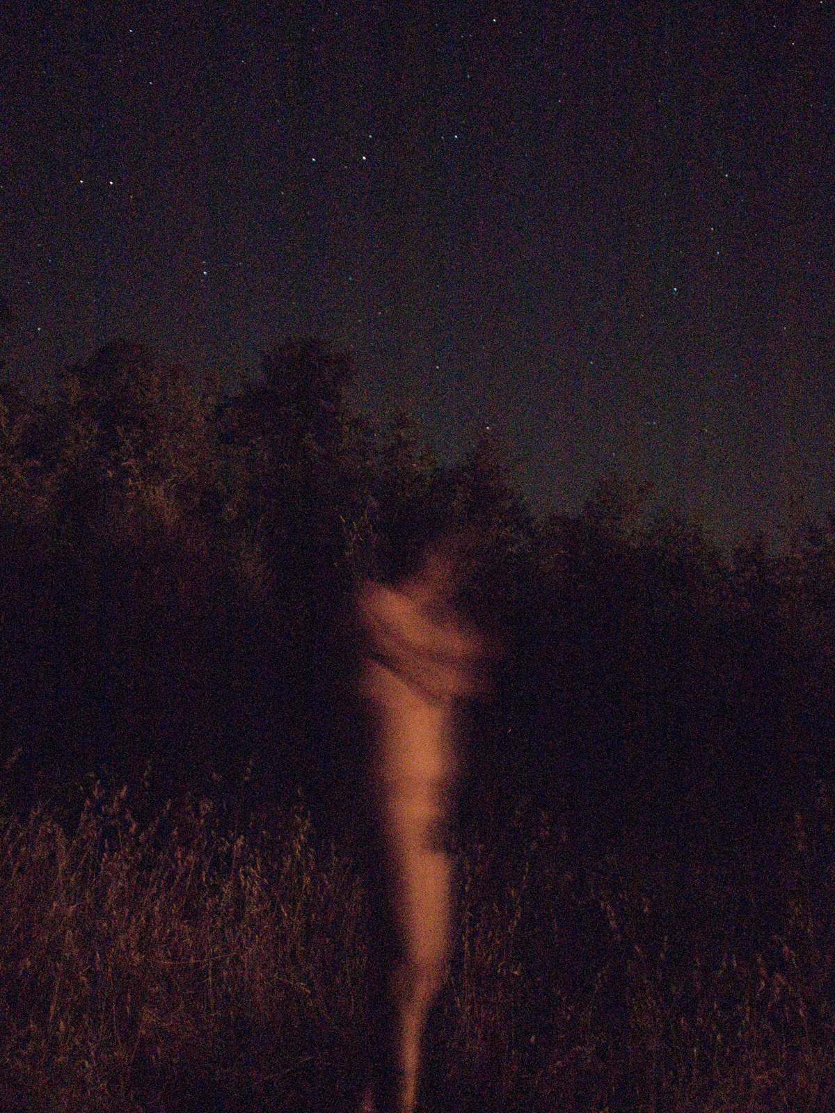 <p>Moonlight Allegro II (2010)</p>
