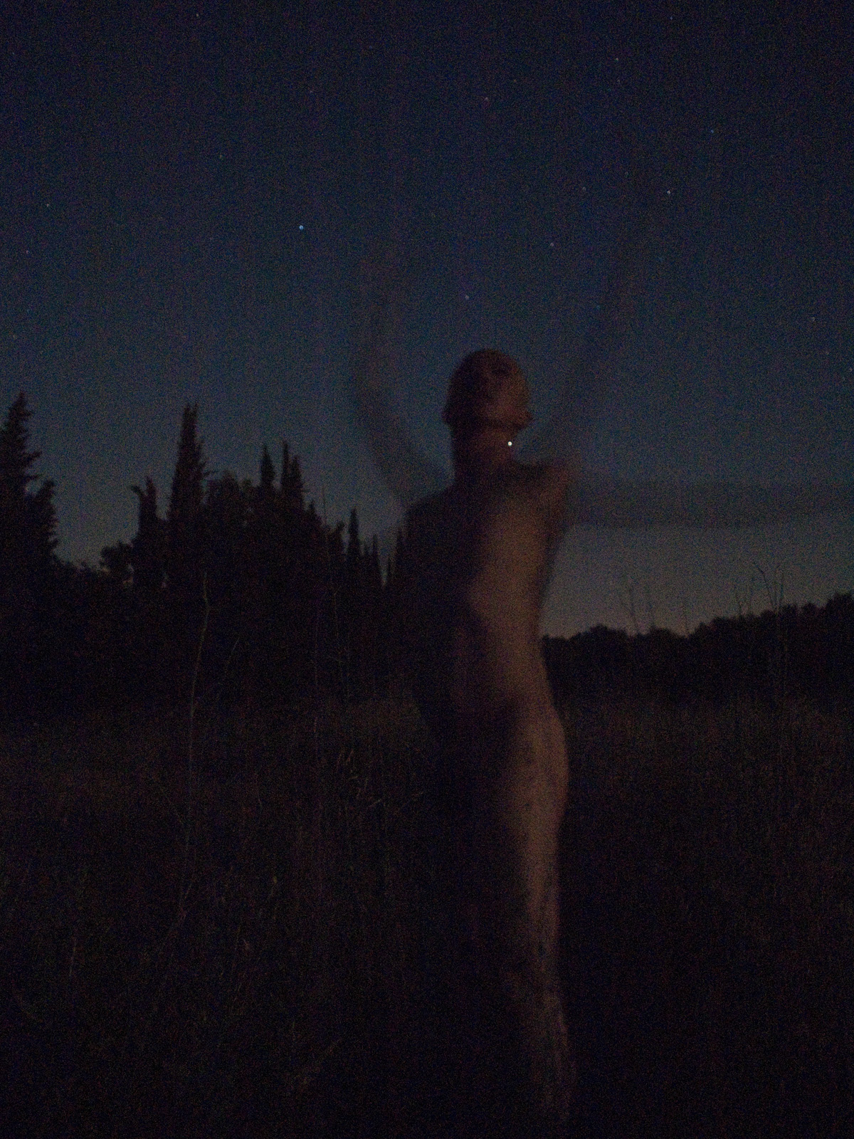 <p>Moonlight Allegro V (2010)</p>
