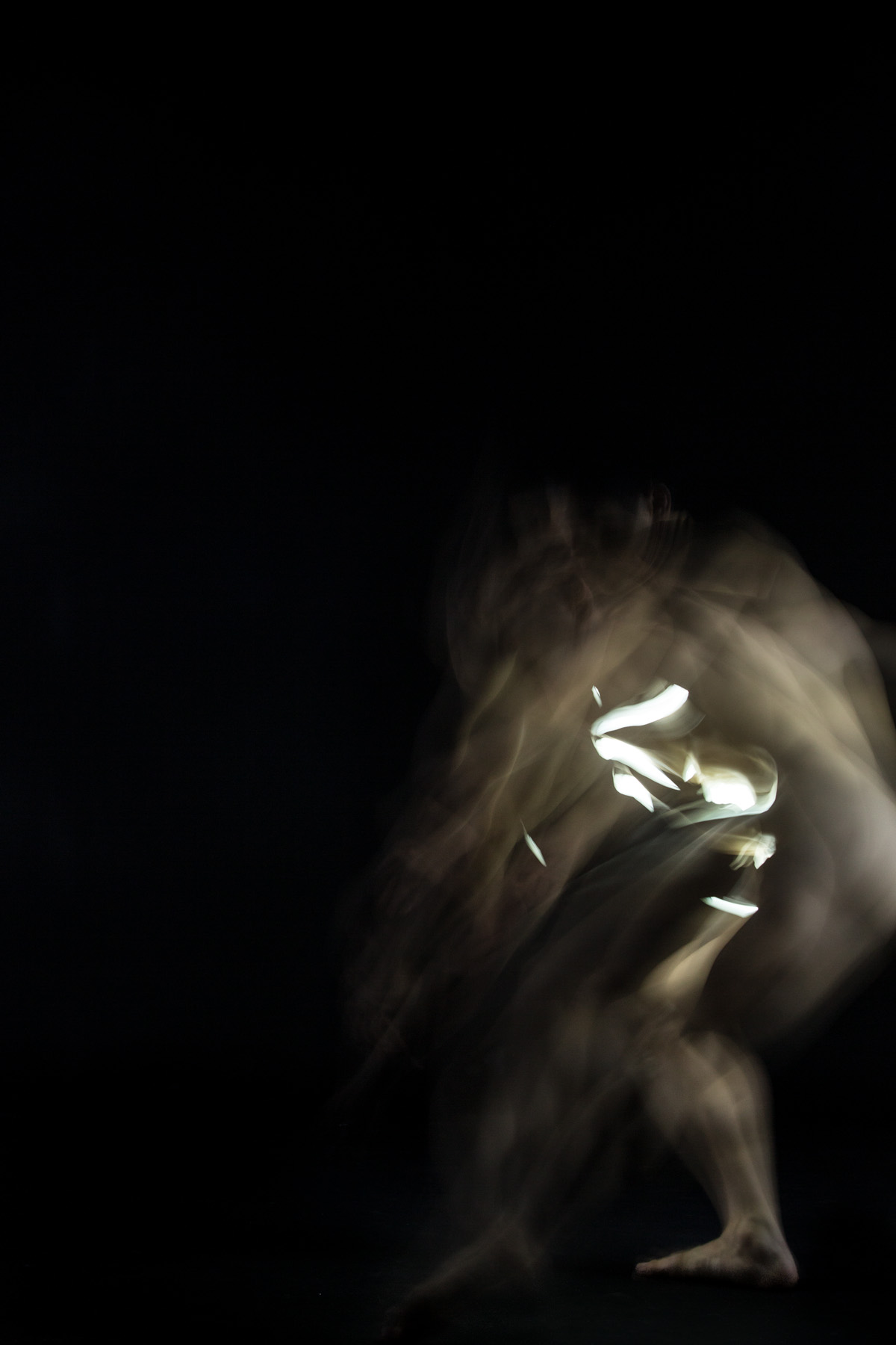 <p>Tendrils – Archival Inkjet Diasec Print, 0.66m x 1m (2012)</p>
