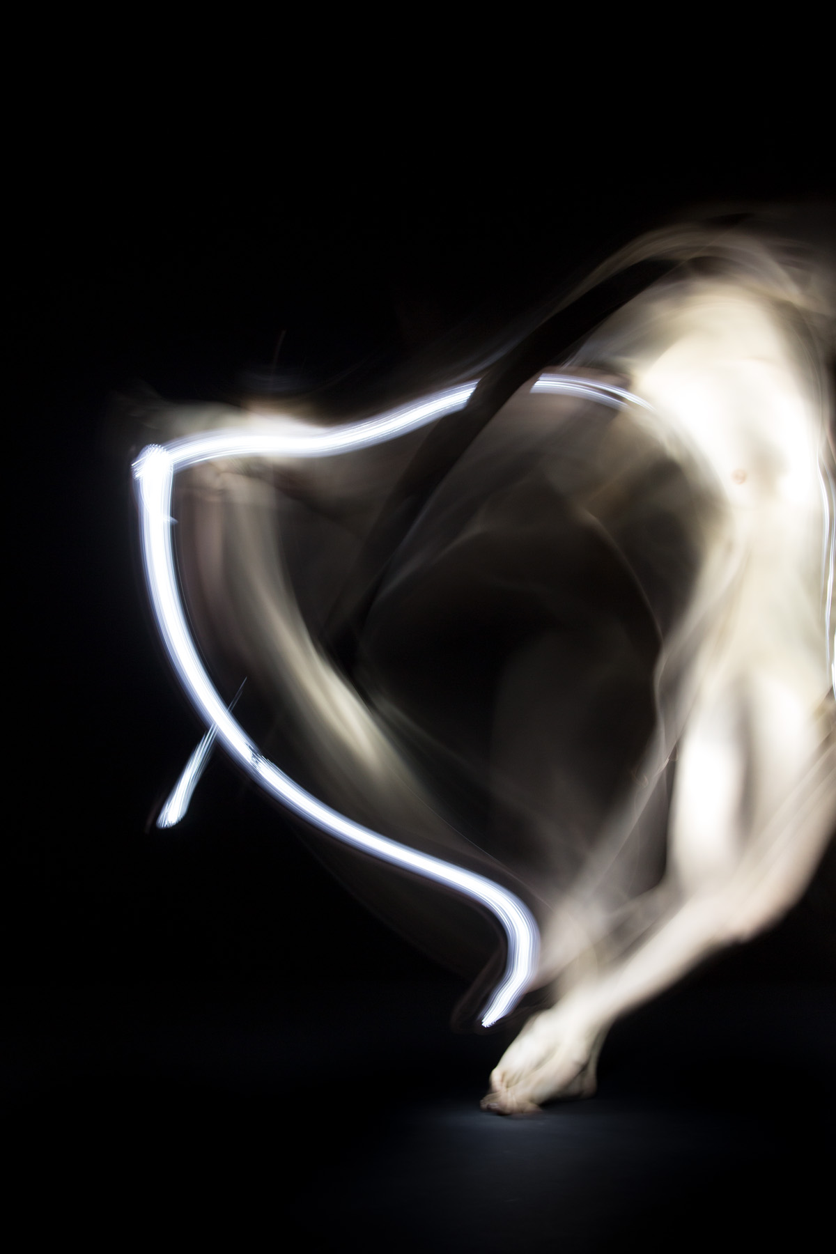 <p>Light Heart – Archival Inkjet Diasec Print, 0.66m x 1m (2013)</p>
