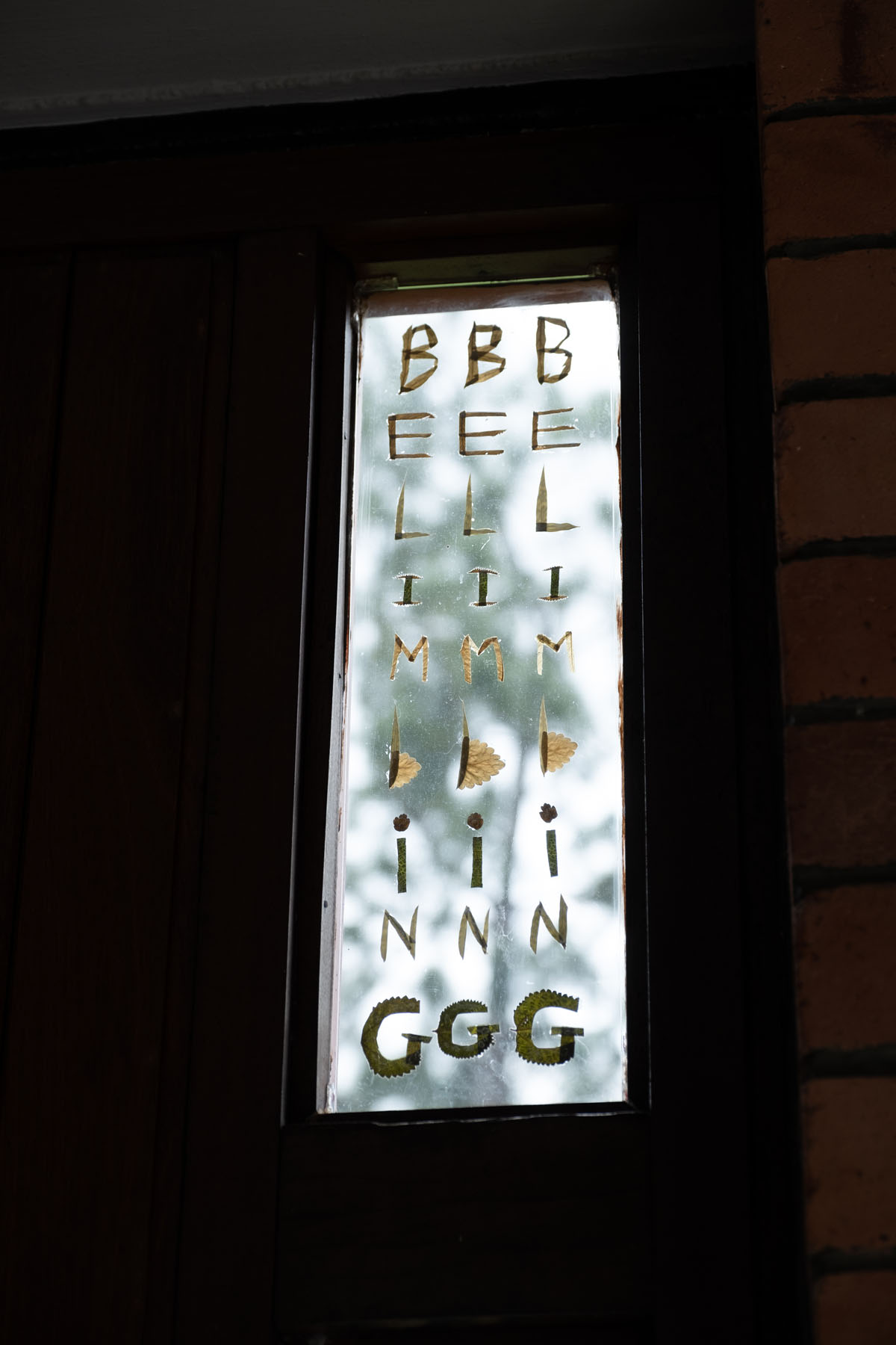 <p><em>Fruit Accents</em> (2024), Pressed flowers,<br />
leaves, adhesive acrylic sheet 48.8 × 13.8<br />
cm by Susanna Tan.</p>
